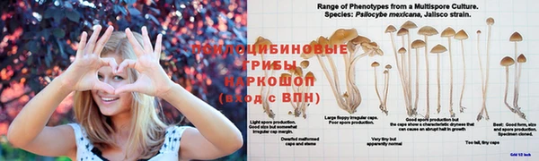 марихуана Каменск-Шахтинский