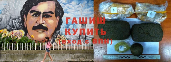 гидра Алексеевка