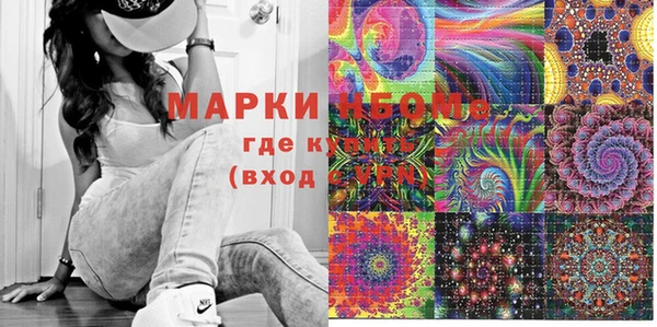 стаф Каменка